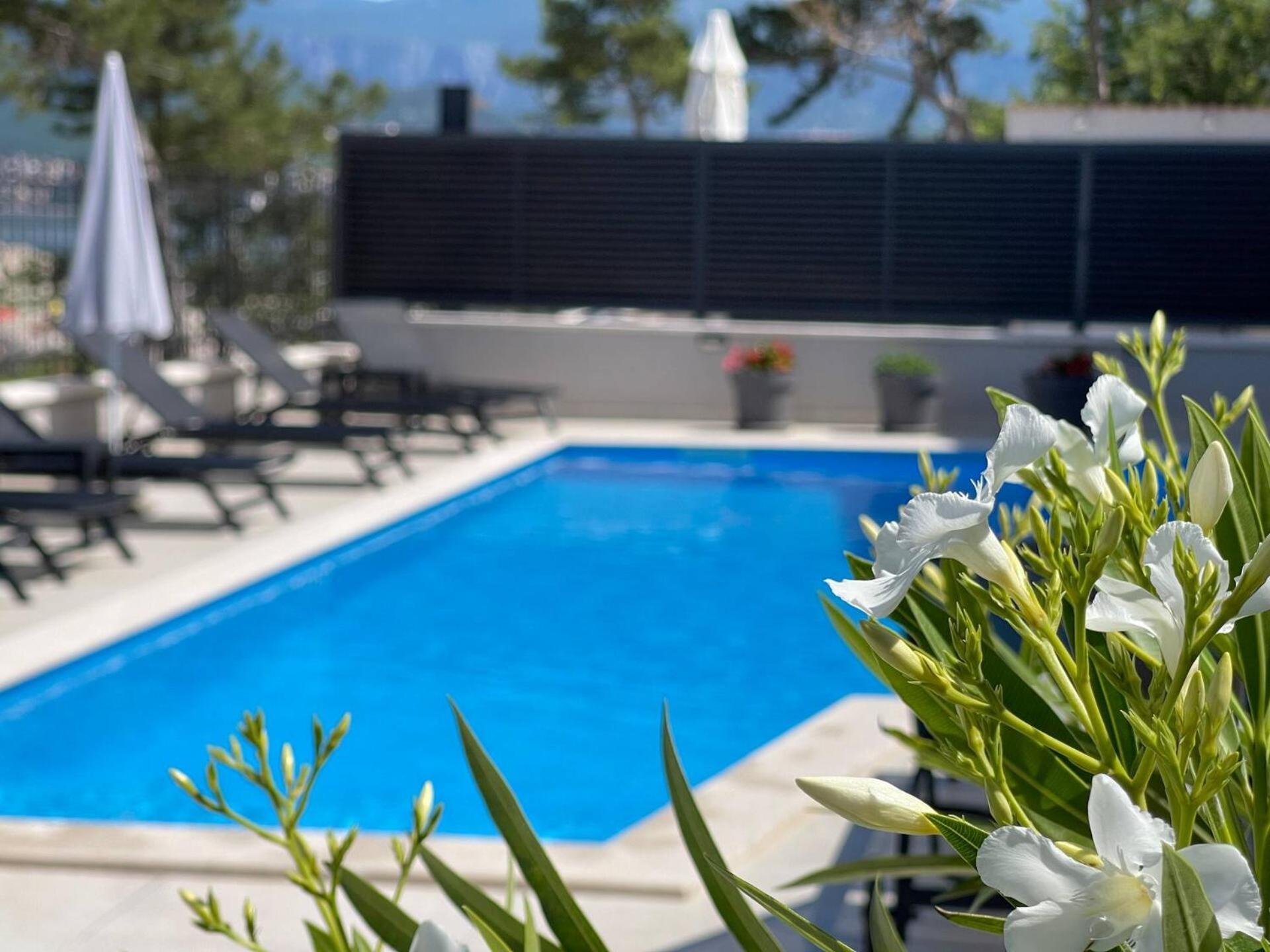 Villas Punta Silo - Luxury Apartments With Pool المظهر الخارجي الصورة